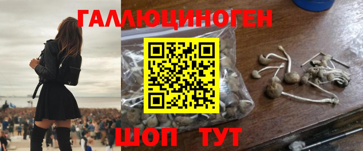 Галлюциногенные грибы Magic Shrooms  Галлюциногенные грибы прущие грибы  Вход с VPN  Ялта 